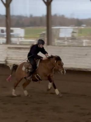 Slow run and I rode messy but she was crazy on the first one so I had to make sure she was actually listening this time 😂#horsetraining #prettyhorse #patternedhorseracing #cutehorse #barrelracing #arabianhorse #gradehorse #kayequine #dunhorse #arabiancross #christmastreerace 