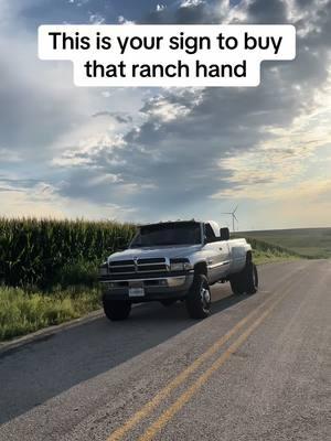 They are expensive but well worth it. #dodge #ram #3500 #1ton #dually #ranch #ranchhand #bumper #brushguard #truck #2ndgen #2g #secondgen #silver #24v #24vcummins #59 #59cummins #6speed #manual #savethemanuals #ranchrig #farmtruck #bubbatruck🌾 