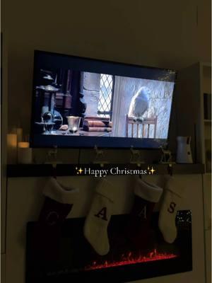 Happy Christmas 🎄✨🎁🍉 #harrypotter #harrypotterchristmas #merrychristmas #christmas #haveyourselfamerrylittlechristmas 