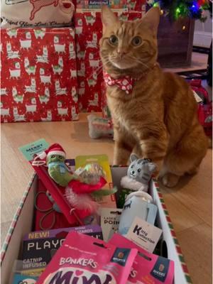 I was so curious what Santa put in my stocking! 😹 The bee wand is my favorite so far! I hope you had a surprise that made you smile too! 😁❤️🐱 Check out my other Christmas reels, it’s been a great Christmas! 😻  #stocking #santa #Love #surprise #family #friends #fun #christmasgifts #kitten #presents #santaclaus #christmas #me #catsoftiktok #merrychristmas #tigerjojo #videos