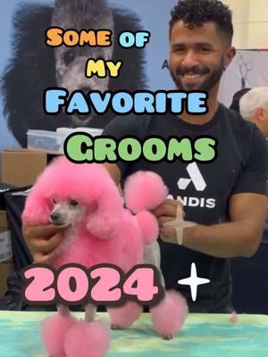 These are some of my favorite from 2024 #cutedog #doggrooming