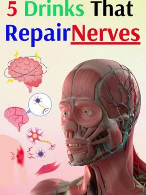 5 Drinks That Repair Nerves. # Nerves #nervoussystem  #vitalsystems #humanbody #bodyfunctions  #Drinks #TurmericMilk #Turmeric #curcumin #antiinflammatory #nervehealth #BerryJuice #Berries #antioxidants #nervecells #cellsdamage #Coconut #CoconutWater #electrolytes #hydrated #nervefunction #Carrot #Apple #AppleJuice #CarrotJuice #betacarotene #nerverepair  #antioxidants #AlmondMilk #Almond #brain #brainfunction #BoneBroth #collagen #aminoacids