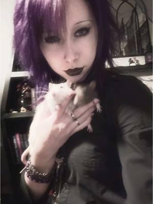 Merry Christmas from me, Fang, and Sable! 🎄💜. Also new hair 😋 #goth #gothic #80sgoth #rats #everydayishalloween #gothicgirl #traditionalgoth #batsnest #gothtok #foryoupage  