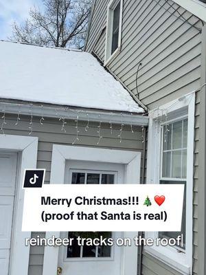 🦌 🦌 Santa!!! I know him! (Merry Christmas, everyone!!) #christmas2024 #christmasishere #merrychristmas2024 #santaclaus #santaisreal #proof #reindeer 