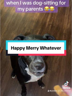 Happy merry whatever to everyone out there!!!! #fypシ #fyp #foryoupage #fy #foryou #dog #tatumtalks @Tatum Talks 