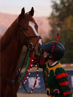 merry christmas from monty and I!!❤️🎄🥰 #horse #monty #equestrian #christmas #pony #fyp 