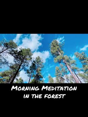 What I really wanted for Christmas… peace and healing #morningmeditation #forest #forestmagic #SelfCare #selflove 