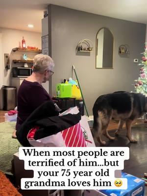 He loves her so much 🥰 #christmas #puppy #germanshepherd #Love 