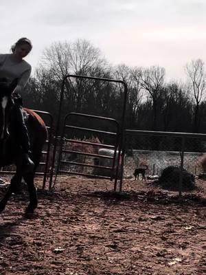 She loves to side pass ##capcut #fypage #capcutvelocity #funknocapcut #equestrian #barrelracer #funk #horseintraining #horserider #viralvideo_07 #viral #meme #newhorse #rodoetok #oldhorse #horse #wheneverwherever #horseriders 