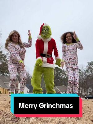 Grinchy never disappoints 🤭💚 #grinch #grinchmas #merrygrinchmas #twomoms #lgbt #blendedfamily #wlw #lgbtqfamily #familygoals #familyfun #fyp #foryourpage 