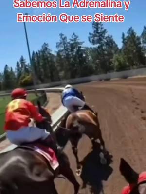 carreras de caballos  #losalamitosracetrake #racetrack #santaanitapark #hipismo #delmarfair #foryour #santaanitapark #hipismo #delmarfair 