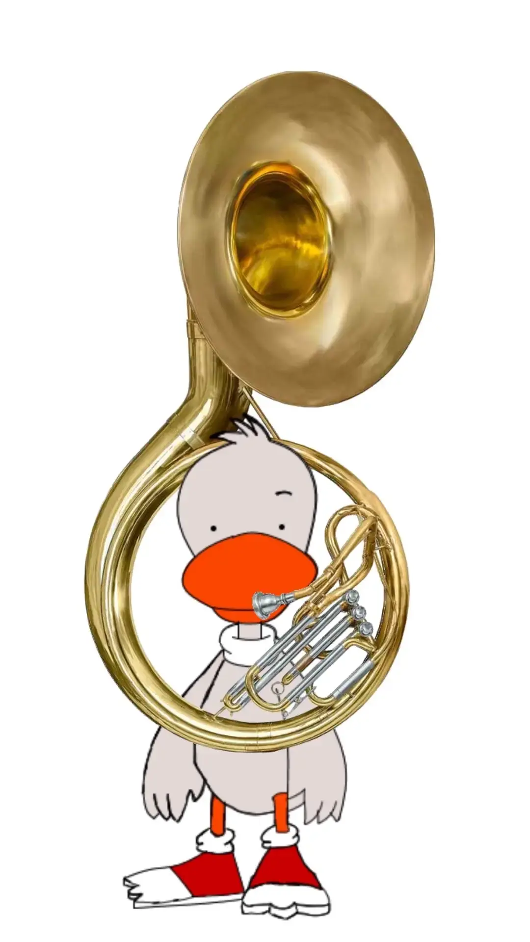 #Tuba #Sousaphone #ForYou This is actually what it looks like @Odie The Dog @Michael Gaspar