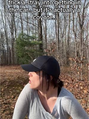 Only on Christmas.. #wife #strays #coyote #Christmas #couples 