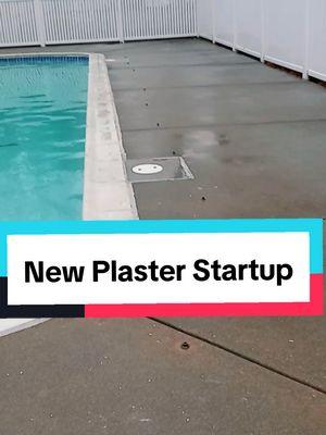 Clear skimmers 1st. Scoop, net, add chems, start. Scoop&net again. Then brush tf outta it. Clean the deck off in between steps. #poolstart #pooltok #cleandeckhappydeck #poolplaster #treatment #refurbishment #coping #skimmers #swimming 