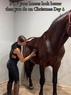 I love getting my horses shiny and clean, wouldnt want it any other way this christmas🥰  #ancientartsdressage #eckequestrian #dressagehorses #equestrianluxury #dressagerider #EQ #dressage #equestrianlife #equestriantraining #dressagetraining #classicaldressage #horsesofinstagram #horseriding #horsepower #horse #spain #stallion 