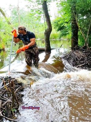 Good Flow! But Still Got A Ways To Go! || Beaver Dam Removal!  #beaverdamremoval #beaverdam #gatorcreek #muddybeaverdam  #damremoval #beavers #dam #drain #draining #water #nature #unclogging #creek #terrellspivey #fypシ゚ #foryoupageシ #foryou #viralreels #viralvideo #viralpost #foryoupageofficiall #fyp #fyppppppppppppppppppppppp #tiktok #tiktokreels #shorts #tiktokvideos #viraltiktokvideo 