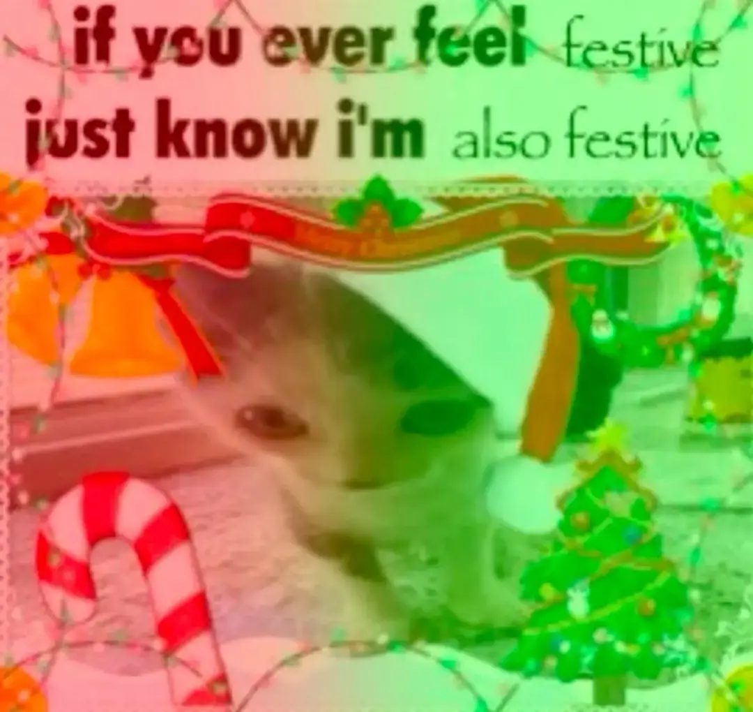 🎄🎄🎄🎁🎁🎁❄️❄️#fypage #christmas #cat #jolly #jollyposting #cats 