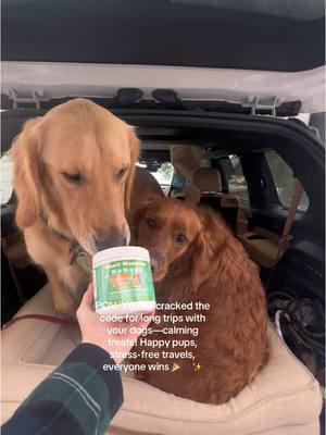 road trips with the pups🎄🐾 #christmas #pups #calmingbites #fypシ #relatable #merrychrismas2024 #goldenretrieverlife #TikTokShop #roadtriphack #roadtrips #traveltips #travelwithdogs #Home #trend #justagirl #travel #trip #justgirlythings 