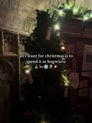 happy christmas harry 🎄🦌 #hogwarts #hogwartschristmas #christmas #wizardingworldofharrypotter #hogsmeade #marauders #alltheyoungdudes 