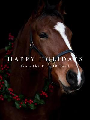 Tis The Season...   It's the perfect time of year for us to take a moment to express our gratitude to all of you. Thank You! However you are celebrating the season, on behalf of the horses and all of us here at DEFHR, we wish you all a peaceful, joyful, and festive holiday season!  Happy Holidays!   Gratefully Yours, The Horses and the rest of us at DEFHR #HappyHolidays #Horses #Joy #GratefullyYours #thankyouforyoursupport #EquineRescue #capcut #christmasphotoshoot #christmasphoto #christmashorse #photography #fyp #CapCut 