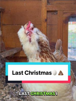 Ethel’s got a different kind of egg for you this year 💩 #lastchristmas #merrychristmas #funnyanimals #chickensoftiktok #egg #chickenhappyhour  