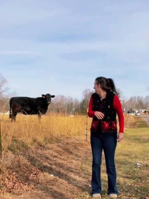 “Where’s Auntie Lala?” - She went to smoke, but now she’s dancing with the cows  #reallyauntie #thatferalwife #homefortheholidays #countrychristmas #christmascow 