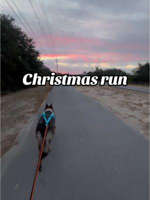 Running like Rudolph to chase the sunrise this morning We took our new @nonstopdogwear set out for the first time today and ended up doing a 5 mile run. Full review coming soon! #christmas #christmaslights #christmasrun #christmasrunning #christmastime #christmassunrise #sunrise #sunriserun #dogsof30a #floridapup #dogfriendly30a #30adogfriendly #30alife #30A #floridadog #floridadogs