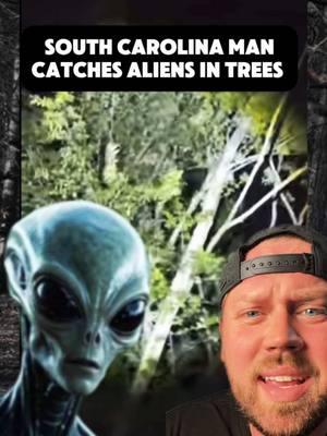 #greenscreenvideo Aliens in Tree South Carolina 🛸 #ufosighting #fyp #aliensintree #scarytiktoks #foryou #aliens #uap #ufo #aliensighting 