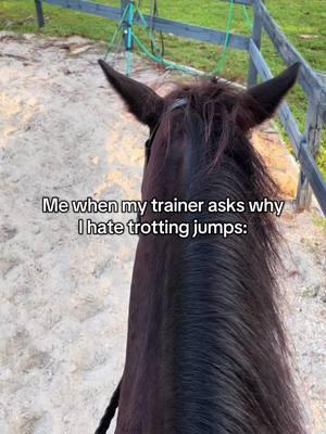 It’s like my kryptonite #equestrian #horses #trainer #horseshow #ottb #bayhorse #ottbjumper #showjumper #hunterjumper #jumpers #horsesoftiktok #jumperhorse #equestrianreposts #horseaudios  