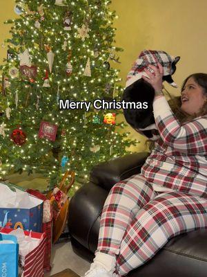 Brinley says Merry Christmas!🎄🥰 #christmasphotoshoot #matchingchristmaspjs #matchingpjs #catsweater #catsoftiktok #cats #christmas2024 