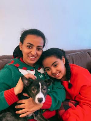 New family addition this year puppy #Duke he brings so much joy 😍🥰 and work 😀😀 #terriermix #terrier #RT #ticyfitness #happyholidays #blessed #grateful #sendinglove #ethiopian_tik_tok #diasporatiktok #diaspora #viral #fyp 