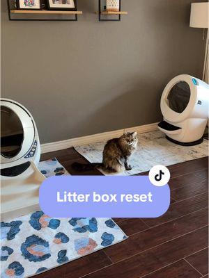 #litterbox #litterrobot #litterboxreset #CleanTok #clean #cat #litterboxhack 