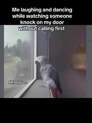 #koolpizm #bird #dance #real #relatable #realrelatable #quotes 