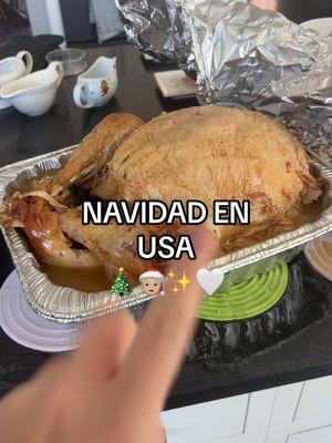 Desde levantarse 6:30 am para abrir los regalos, cenar a mas 3 de la tarde y comer pavos de 15kg, sin dudas pasar Navidad en USA es una aventura 🎄🤍 Hasta el año que viene •  #christmas #navidad #navidadenusa #estadosunidos #navidades #Vlog #christmasday #christmasvlog 