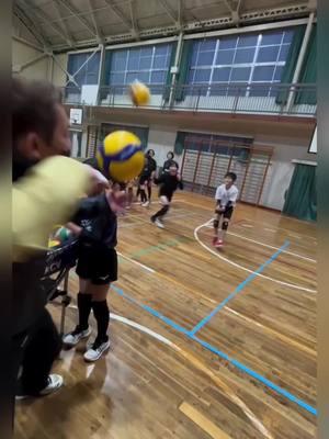 What’s more impressive the coaches control or the players passing?  . . . . #Vballtactics #volleyballaddict #volleyballmemes #volleyballove #volleyballthailand  .⠀ #vballislife #scvavolleyball #vball #boysclubvolleyball #clubvolleyball⠀ #girlsclubvolleyball #volleyball #outsidehitter #libero #volleygirl #usavolleyball #volley #volleyballplayer #sports #volleyballislife #instavolley #fivb #vblife #volleyballseason⠀ #vball #usavolleyball 