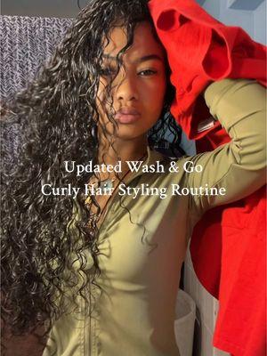 Updated Wash & Go Curly Hair Styling Routine for the Winter ❄️ IG aabraazyy  #fyp #curlyhairroutine #curlyhairtutorial #washandgo #curlyhead 