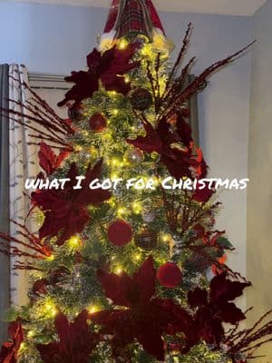 Christmas gifts from mom, dad, & myself 🎄🎁❄️ so grateful to spend another Christmas with my mom & dad 🙏🏼  #christmashaul #christmasgifts #christmasgiftsforher #christmastree #thechristmassong #familychristmas #redchristmastree #whatigotforchristmas #part1 