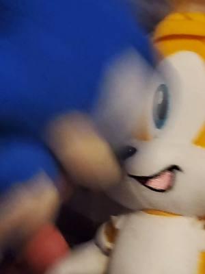 #sega #sonicthehedgehog #tailsthefox #plushies #sonicplush #sonic #tails #whisperthewolf 