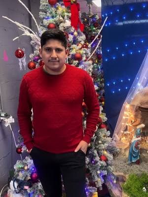 Feliz Navidad a todos y cada uno de ustedes con todo el amor desde el fondo de mi corazón mis mejores deseos #antojandoando #teamcanguro #BARBACOA #california #vidade10 #galaxy #morales #