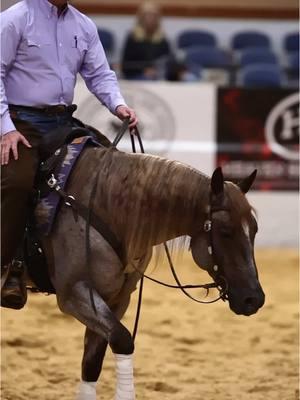 Lessons Learned: Just Get the Horse One of the biggest lessons Clinton learned from his late friend and mentor Doug Carpenter was if you come across a great horse, buy them. Figure out the details later. #ApplyTheMethod #downunderhorsemanship #clintonanderson #horse #horsetrainer #horsemanship #lessonslearned