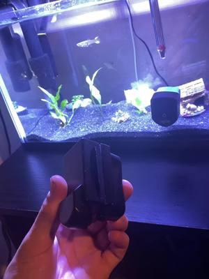 Makes checking temperature so much easier and efficient#seaoura#aquarium#TikTokShop#amazing#hobby#fish#tip#easy 