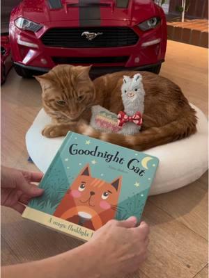 I had the best Christmas and I hope you did too! 🥰 We ended our day with reading one of my new books, “Goodnight Cat” by Katie Button. It’s a magic flashlight book! 🙀❤️📗🔦 #book #read #Love #goodnightcat #katiebutton #fun #family #friends #beautiful #lovebooks #smile #laugh #catsoftiktok #tigerjojo #videos