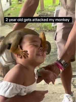 Don't worry yall she is fine 😂 no child was seriously hurt #fyp #monkeyattack #monkeytok #viral #monkey #toddlersoftiktok 