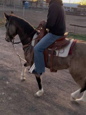 #fyp #rancholife #caballos #cuacos 