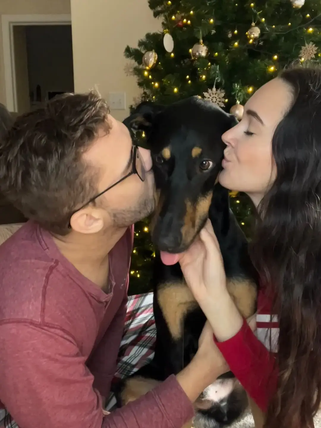 Merry Christmas/Happy Holidays to everyone! 🫶📚 #christmas #married #bethanyandabe #dogsoftiktok #dogparents #dogmom #bethanyandonyx 