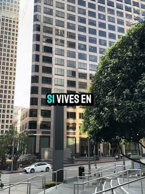 Si vives en Los Ángeles Tienes Que Visitar este lugar 🤩🎄 #turismo #visitas #losangeles #california #viaje #lugaresbonitos #viajes #lugaresparavisitar #restaurant #restaurante #hotel #comida #diversion #fyp #fy #parati #incredible #todoelmundo 