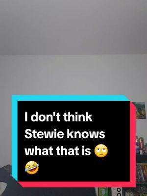 Stewie might be smart but he clearly doesn't know anything about a woman at all but Brian doesn't know what to say to him about it......#fyp #ltbrown1 #viral #familyguy 