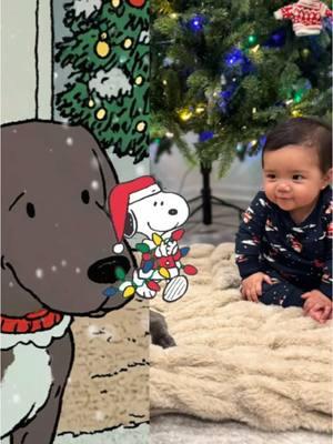 #CapCut #fyp #christmas #babies #mybabies #snoopy #snoopyfilter 