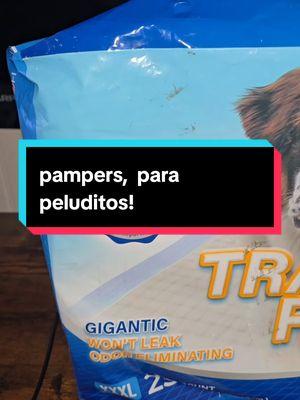 #pampers #pamper #dog #fypシ #tiktoker #ferretsoftiktok #TikTokShop #capcut #holiday 