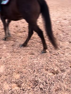 #harpernelson #futurenfrchampion #9yroldbarrelracer #barrelhorse #chasingbuckles #shesbuildingherempire #rodeogirls #firewaterflit #frenchmansfabulous 